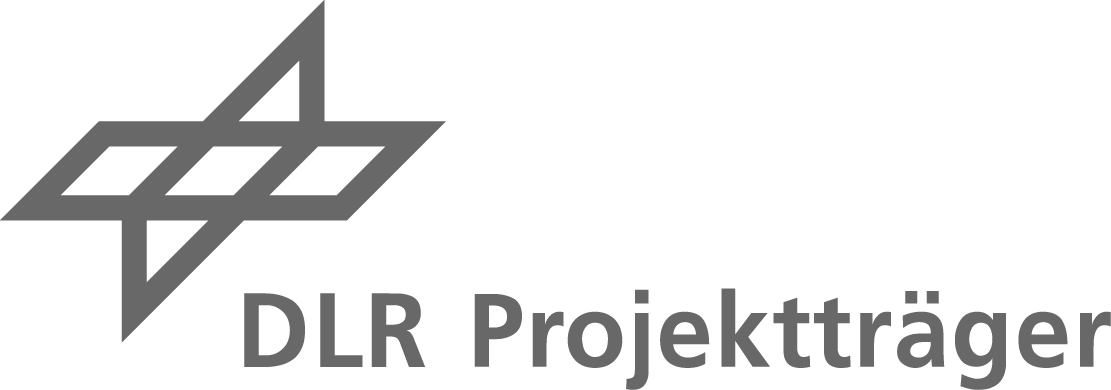 Logo DLR PT