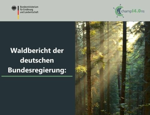 Waldbericht der deutschen Bundesregierung