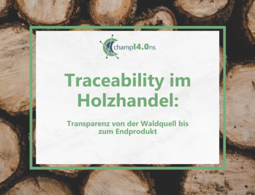 Traceability im Holzhandel: Transparenz von der Waldquelle bis zum Endprodukt